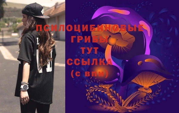 mix Верхний Тагил